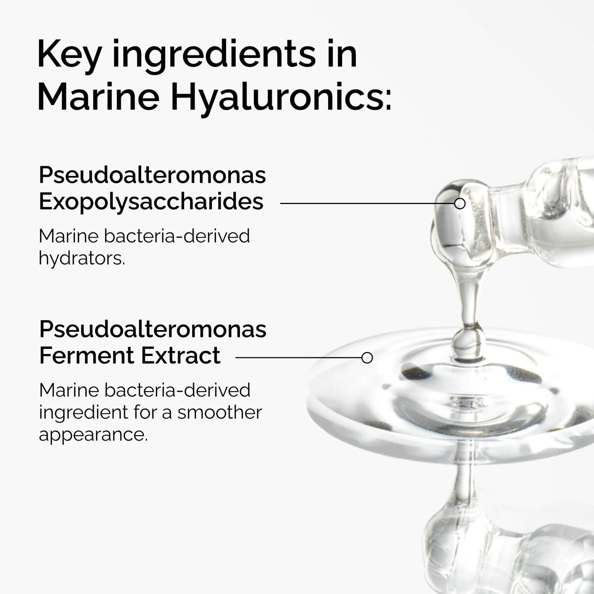 marine-hyaluronics-q4 FY25-D41247-ORD-Web-PDP-Marine-Hya-1x1-EN-2a.jpg