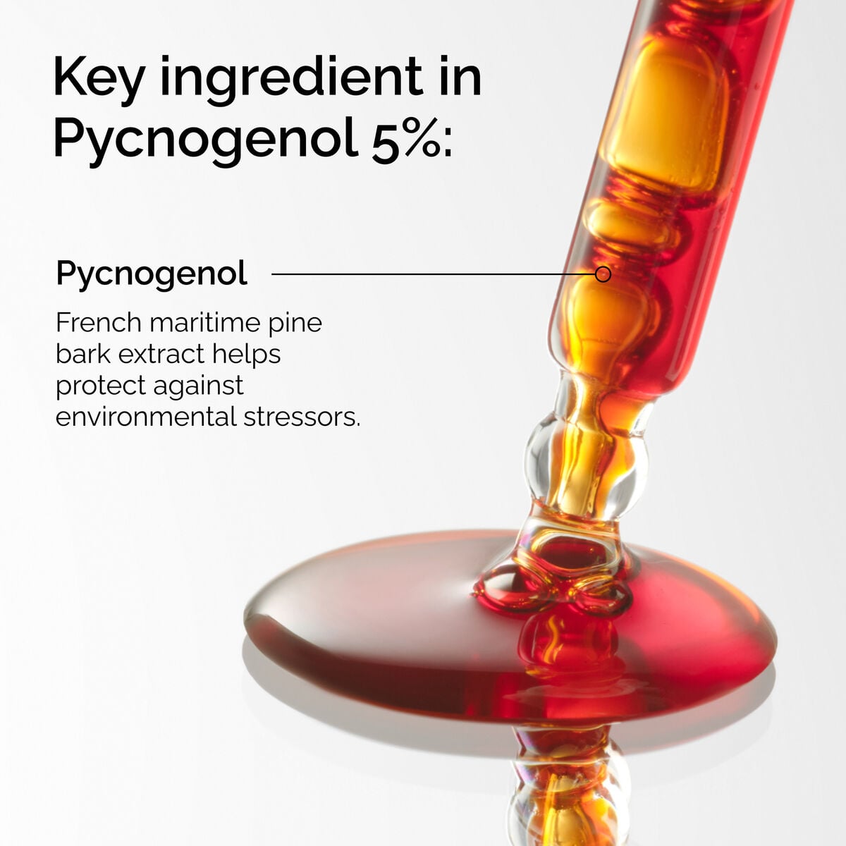 pycnogenol-5-b8 FY25-D41247-ORD-Web-PDP-Pyc-5pct-1x1-EN-2a.jpg
