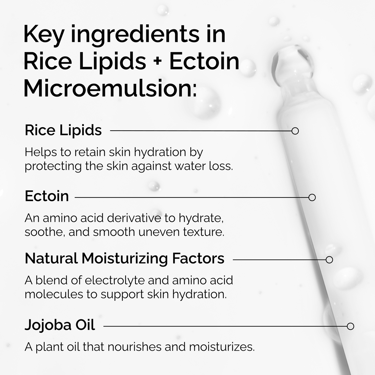 rice-lipids-ectoin-microemulsion-s1 ord-rice-lipids-ectoin-microemulsion-key-ingredients.png