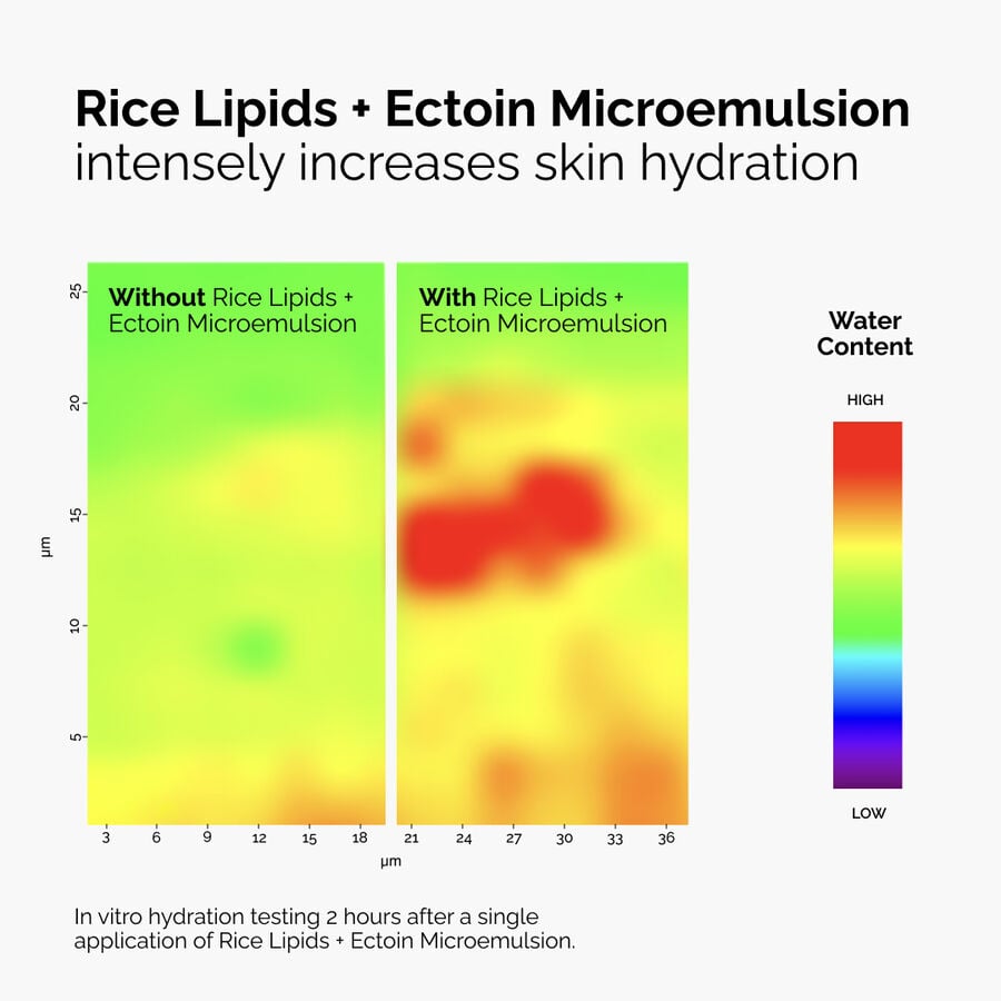 rice-lipids-ectoin-microemulsion-s1 ord-rice-lipids-ectoin-microemulsion-thermal-before-after.jpg